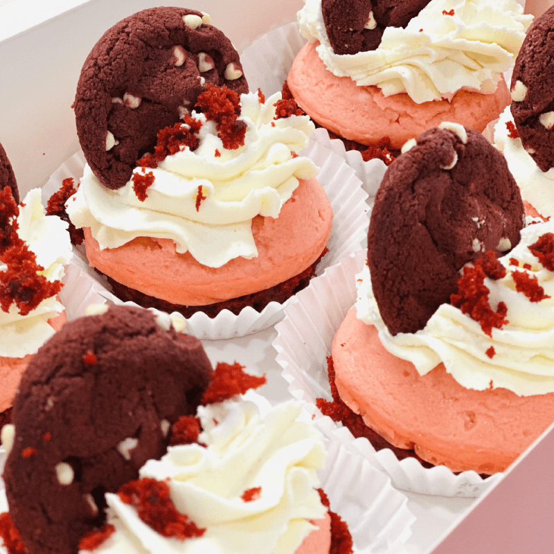 cake-08 Desert Emoji